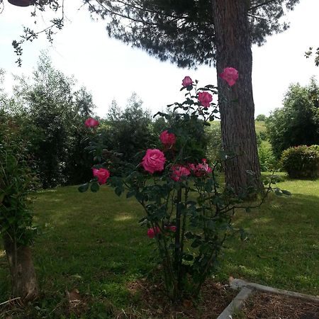 La Finestra Sul Cortile Bed & Breakfast Pomezia Bagian luar foto