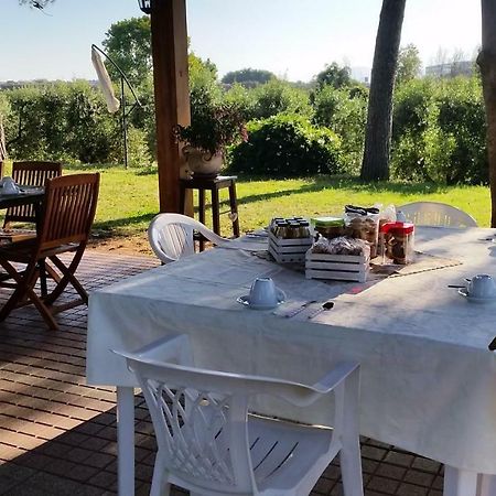 La Finestra Sul Cortile Bed & Breakfast Pomezia Bagian luar foto
