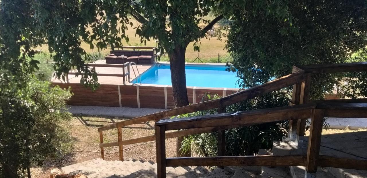 La Finestra Sul Cortile Bed & Breakfast Pomezia Bagian luar foto