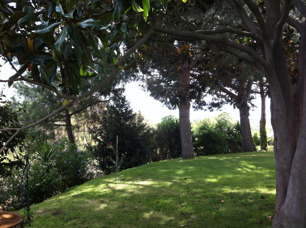 La Finestra Sul Cortile Bed & Breakfast Pomezia Bagian luar foto