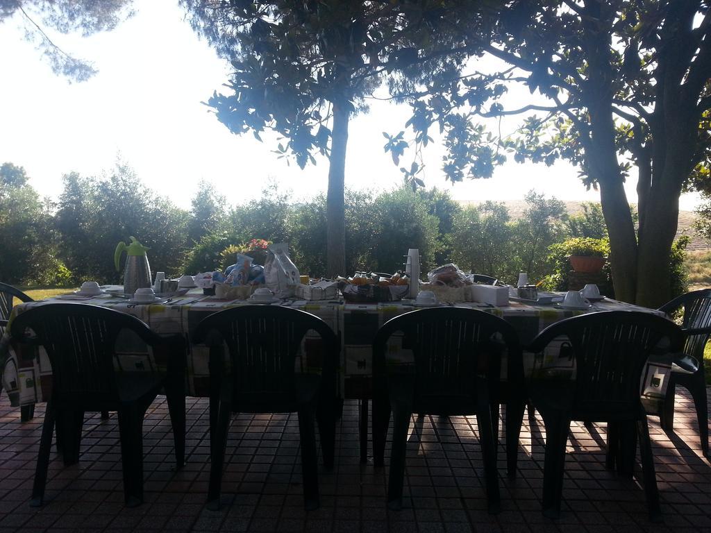 La Finestra Sul Cortile Bed & Breakfast Pomezia Bagian luar foto