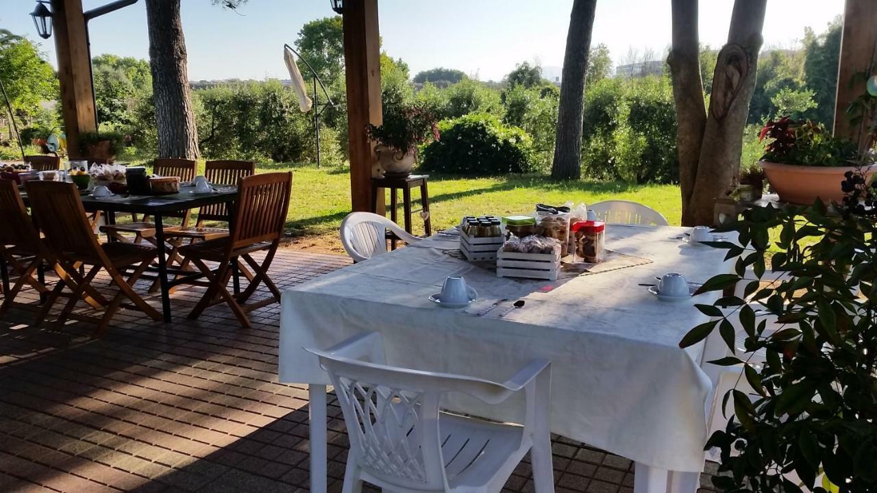 La Finestra Sul Cortile Bed & Breakfast Pomezia Bagian luar foto